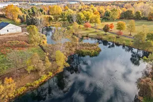 28510 Coyote Ct, New Hudson, MI 48165 - Photo 5