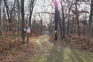 4141 E Jost Dr, Luther, MI 49656 - Photo 5