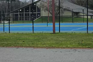 9138 White Pine Dr, Canadian Lakes, MI 49346 - Photo 45