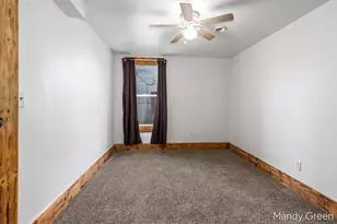 219 N 3rd St, Edmore, MI 48829 - Photo 11