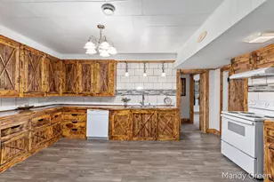 219 N 3rd St, Edmore, MI 48829 - Photo 9