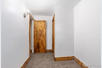 219 N 3rd Street, Edmore, MI 48829 - Photo 25