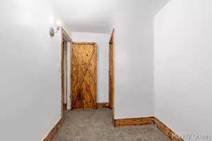 219 N 3rd St, Edmore, MI 48829 - Photo 25