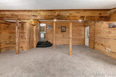 219 N 3rd Street, Edmore, MI 48829 - Photo 21