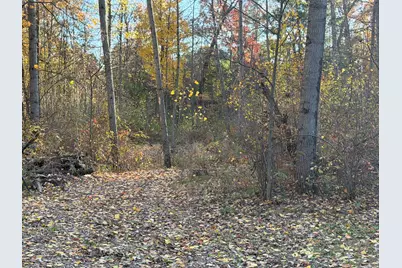 V/L Maple Hill Road #Parcel C, Howard City, MI 49329 - Photo 11