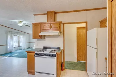 1675 W Willow Street, White Cloud, MI 49349 - Photo 9