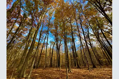 6629 W East Road, Three Oaks, MI 49128 - Photo 29