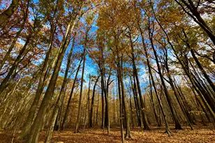 6629 W East Rd, Three Oaks, MI 49128 - Photo 29