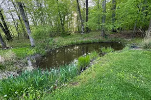 6629 W East Rd, Three Oaks, MI 49128 - Photo 39