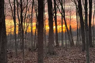 6629 W East Rd, Three Oaks, MI 49128 - Photo 27