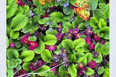 6629 W East Road, Three Oaks, MI 49128 - Photo 35