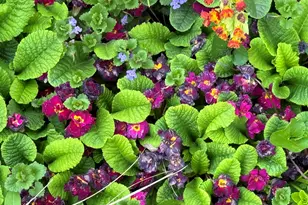 6629 W East Rd, Three Oaks, MI 49128 - Photo 35