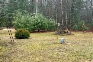 2471 W 12 Mile Rd, Bitely, MI 49309 - Photo 35