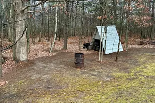 2471 W 12 Mile Rd, Bitely, MI 49309 - Photo 33