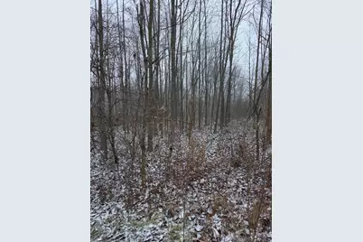 849 18th Street, Otsego, MI 49078 - Photo 49