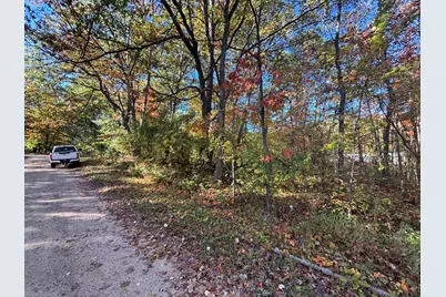 V/L 1.47A N Tallman Lake Road, Fountain, MI 49410 - Photo 5