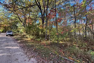 V/L 1 47A N Tallman Lake Rd, Fountain, MI 49410 - Photo 5