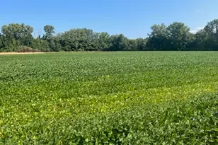 Wilson Rd, New Buffalo, MI 49117 - Photo 5