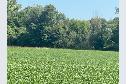 Wilson Road #B, New Buffalo, MI 49117 - Photo 3