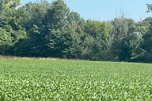 Wilson Rd, New Buffalo, MI 49117 - Photo 3