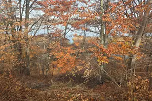 3893 Buck St, Norton Shores, MI 49444 - Photo 53