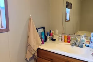 2706 Patrick Henry Ct, Potterville, MI 48876 - Photo 11