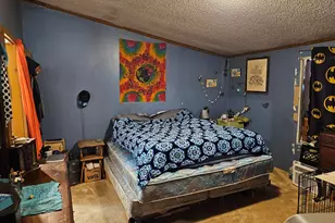 9156 50th Ave, Evart, MI 49631 - Photo 13