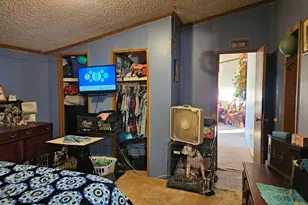 9156 50th Ave, Evart, MI 49631 - Photo 15