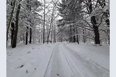 V/L Abermanis Trail, Luther, MI 49656 - Photo 11