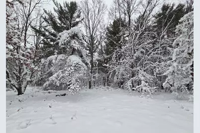 V/L Abermanis Trail, Luther, MI 49656 - Photo 9