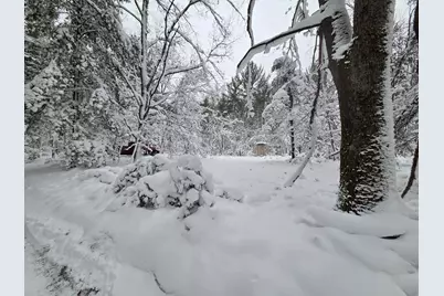 V/L Abermanis Trail, Luther, MI 49656 - Photo 17