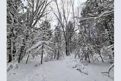 V/L Abermanis Trail, Luther, MI 49656 - Photo 15