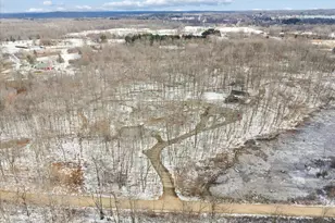 8484 N Rollin Hwy, Addison, MI 49220 - Photo 55