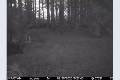 72000 E 46th Road, Cadillac, MI 49601 - Photo 21