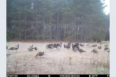 72000 E 46th Road, Cadillac, MI 49601 - Photo 37