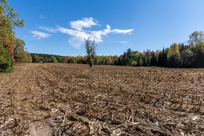 72000 E 46th Road, Cadillac, MI 49601 - Photo 33