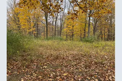 000 W Clear Lake Road, Buchanan, MI 49107 - Photo 3