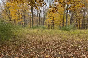 000 W Clear Lake Rd, Buchanan, MI 49107 - Photo 3