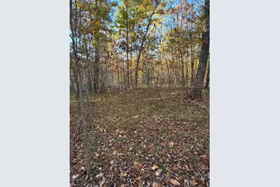 V/L Maple Hill Road #Parcel D, Howard City, MI 49329 - Photo 1