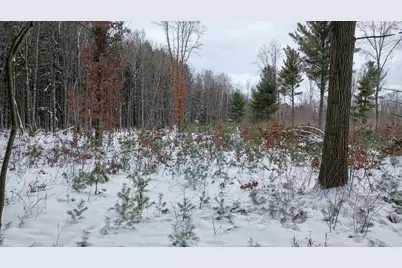 V/L 118A E Townline Road, Free Soil, MI 49411 - Photo 3