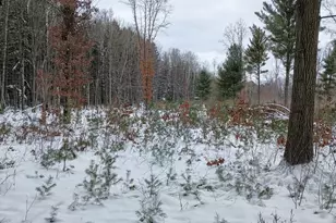 V/L 118A E Townline Rd, Free Soil, MI 49411 - Photo 3