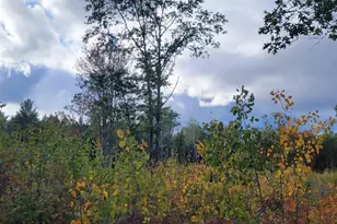 V/L 118A E Townline Rd, Free Soil, MI 49411 - Photo 37