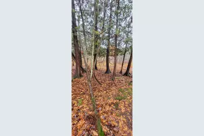 V/L 118A E Townline Road, Free Soil, MI 49411 - Photo 31