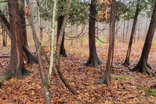 V/L 118A E Townline Rd, Free Soil, MI 49411 - Photo 31