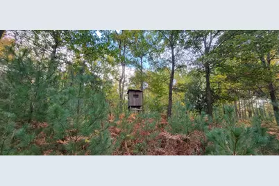 V/L 118A E Townline Road, Free Soil, MI 49411 - Photo 35