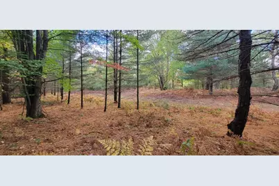 V/L 118A E Townline Road, Free Soil, MI 49411 - Photo 33