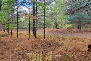 V/L 118A E Townline Rd, Free Soil, MI 49411 - Photo 33