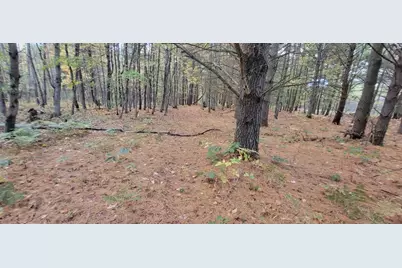 V/L 118A E Townline Road, Free Soil, MI 49411 - Photo 25