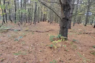 V/L 118A E Townline Rd, Free Soil, MI 49411 - Photo 25