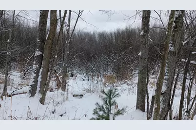 V/L 118A E Townline Road, Free Soil, MI 49411 - Photo 11